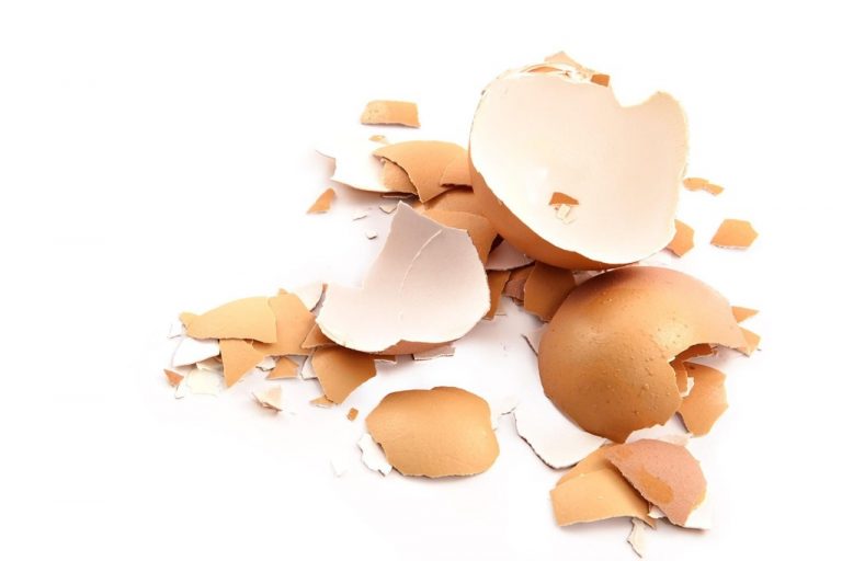 What are eggshells made of and what do they contain