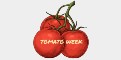 growing tomato tips